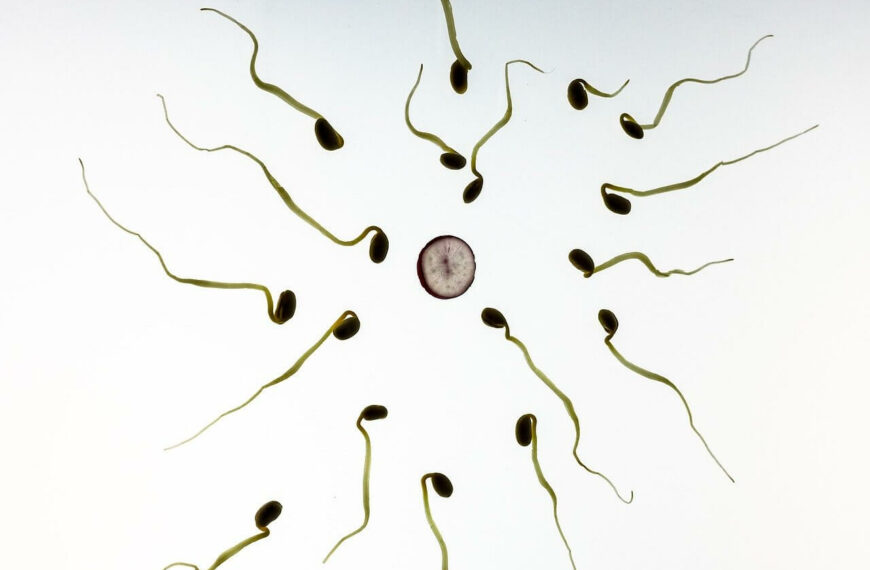 Spermamenge erhöhen – So klappt es!